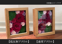 画像をギャラリービューアに読み込む, Bellezza #11270