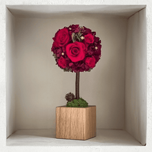 Load image into Gallery viewer, Oak Topiary M #12311