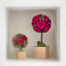 Load image into Gallery viewer, Oak Topiary M #12311