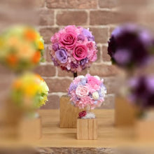 Load image into Gallery viewer, Oak Topiary S #12312