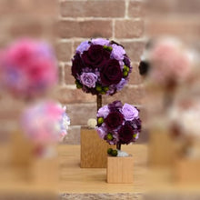 Load image into Gallery viewer, Oak Topiary S #12312