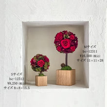 Load image into Gallery viewer, Oak Topiary S #12312