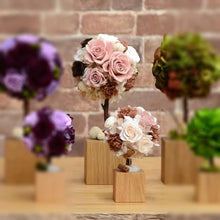 Load image into Gallery viewer, Oak Topiary S #12312