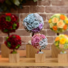 Load image into Gallery viewer, Oak Topiary S #12312