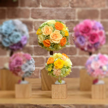 Load image into Gallery viewer, Oak Topiary S #12312