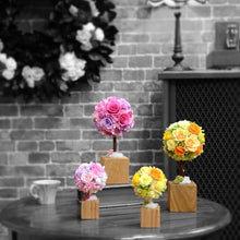 Load image into Gallery viewer, Oak Topiary S #12312