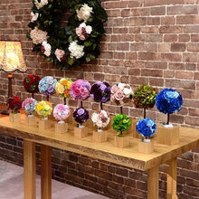 Load image into Gallery viewer, Oak Topiary S #12312