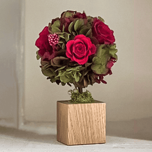 Load image into Gallery viewer, Oak Topiary S #12312