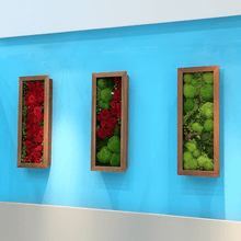 Load image into Gallery viewer, RAMME ラムン 35x90cm #13056