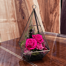 Load image into Gallery viewer, Terrarium house #13138
