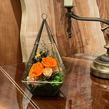 Load image into Gallery viewer, Terrarium house #13138