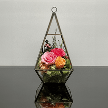 Load image into Gallery viewer, Terrarium house #13138