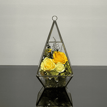 Load image into Gallery viewer, Terrarium house #13138