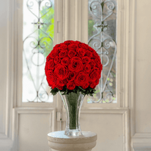 画像をギャラリービューアに読み込む, クラシカ M #13342