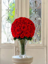 Load image into Gallery viewer, クラシカ M #13342