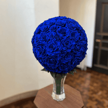 画像をギャラリービューアに読み込む, クラシカ M #13342