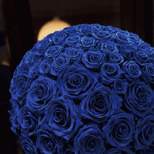 画像をギャラリービューアに読み込む, クラシカ M #13342