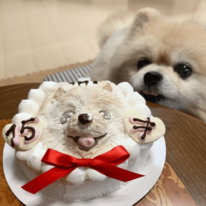 My love flower 】ねぇ早くちょうだいー！ #13553 – GINZA SOBI