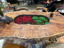 Load image into Gallery viewer, 緋苑 ~ ひえん ~ #13588