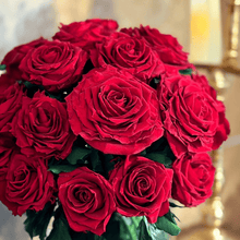 画像をギャラリービューアに読み込む, Premier ~プルミエ~ 60 #13677