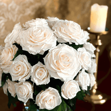 画像をギャラリービューアに読み込む, Premier ~プルミエ~ 60 #13677