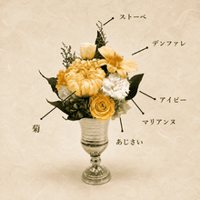 画像をギャラリービューアに読み込む, 遥花 はるか #13685