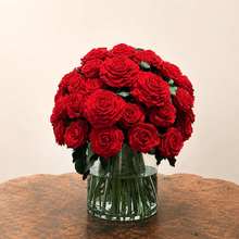 Load image into Gallery viewer, Premier M #8431M