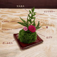 画像をギャラリービューアに読み込む, 常葉 ときわ #13725