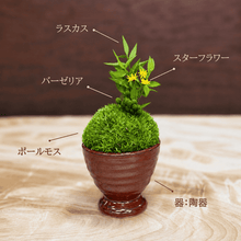 画像をギャラリービューアに読み込む, ひなた #13726