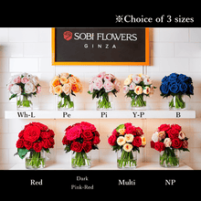 Load image into Gallery viewer, Premier ~Premier~ LL #11372LL