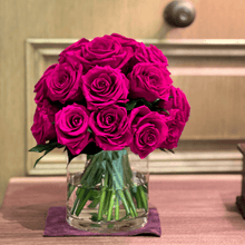 Load image into Gallery viewer, Premier L #8431L