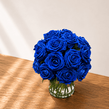 Load image into Gallery viewer, Premier M #8431M