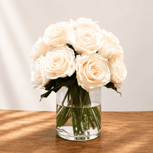 Load image into Gallery viewer, Premier M #8431M