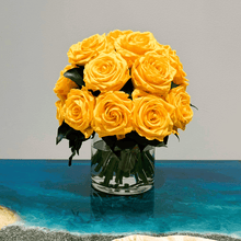 Load image into Gallery viewer, Premier M #8431M