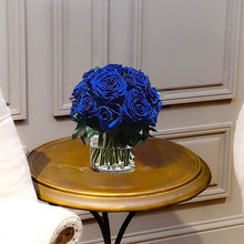 Load image into Gallery viewer, Premier M #8431M