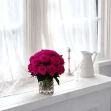 Load image into Gallery viewer, Premier M #8431M