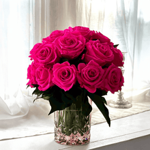 Load image into Gallery viewer, Premier M #8431M