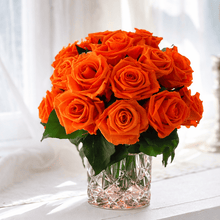 Load image into Gallery viewer, Premier M #8431M