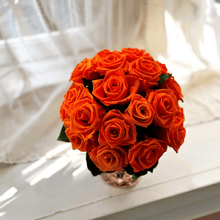 Load image into Gallery viewer, Premier M #8431M