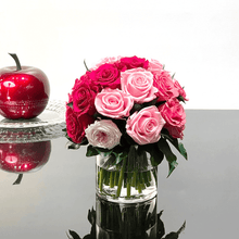 Load image into Gallery viewer, Premier  M #8431M