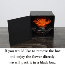 Load image into Gallery viewer, Crystal Rose #9955