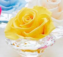 画像をギャラリービューアに読み込む, Crystal Rose ~クリスタルローズ~ #9955
