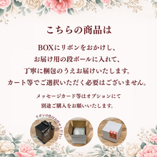画像をギャラリービューアに読み込む, リッカ #13401