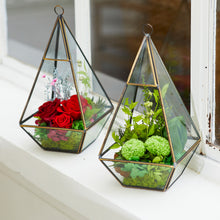 Load image into Gallery viewer, Terrarium house #13138
