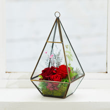 Load image into Gallery viewer, Terrarium house #13138