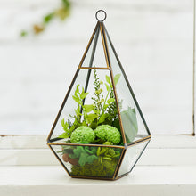 Load image into Gallery viewer, Terrarium house #13138
