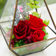 Load image into Gallery viewer, Terrarium house #13138