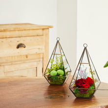 Load image into Gallery viewer, Terrarium house #13138
