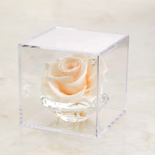 Load image into Gallery viewer, Crystal Rose #9955