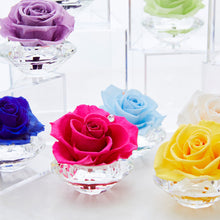 画像をギャラリービューアに読み込む, Crystal Rose ~クリスタルローズ~ #9955